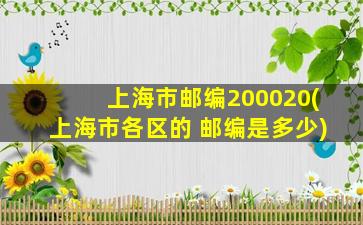 上海市邮编200020(上海市各区的 邮编是多少)